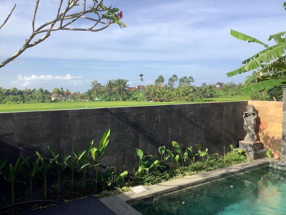 Uma Padi Villa Ubud  Luaran gambar
