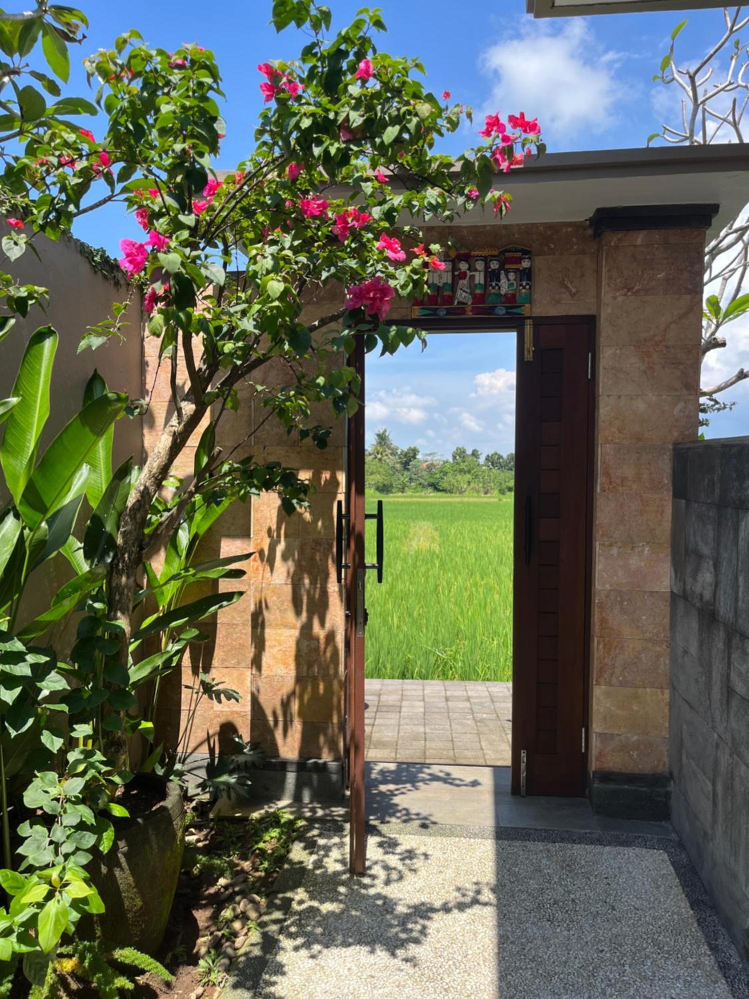 Uma Padi Villa Ubud  Luaran gambar